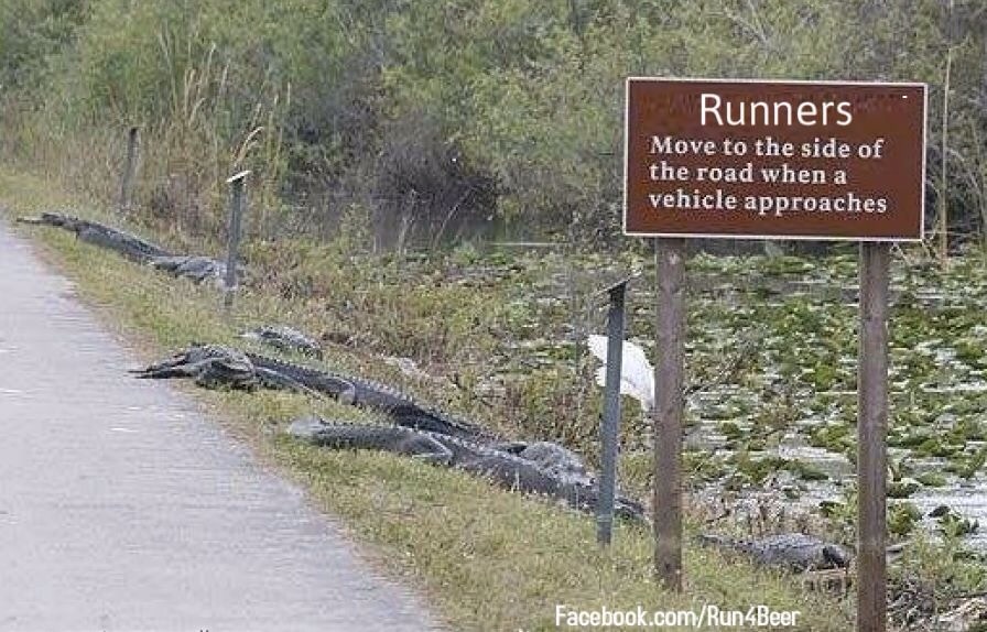 Runners + Alligators Nudge